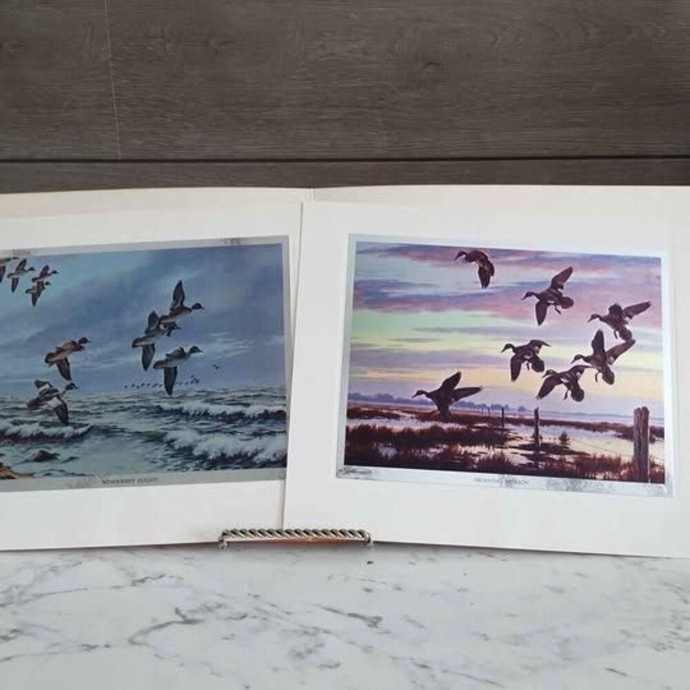 Vintage Wilderness Wings David Maass Ducks in Flight Color Etch Print Lithograph